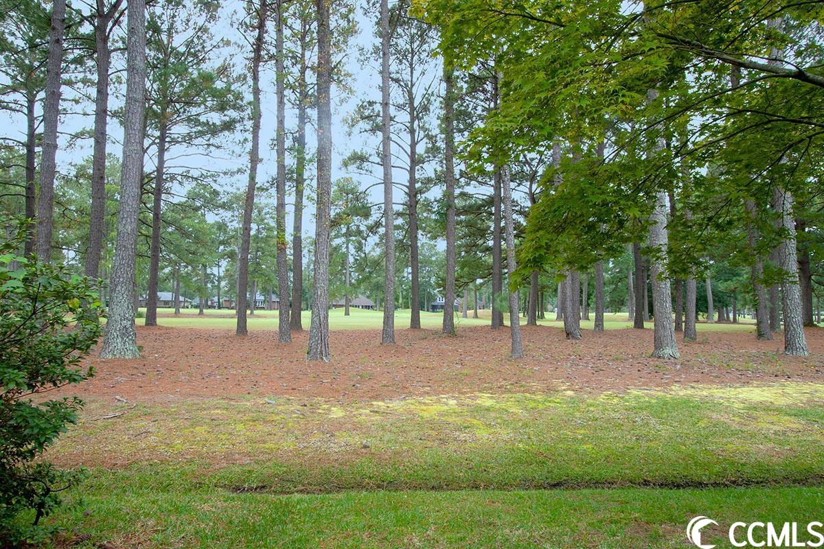 128 Berry Tree Lane Conway, SC 29526 - Photo 27 of 40 Gallery Image 27