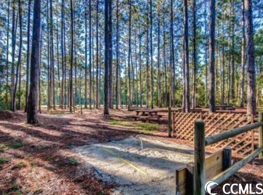 128 Berry Tree Lane Conway, SC 29526 - Photo 37 of 40 Gallery Image 37