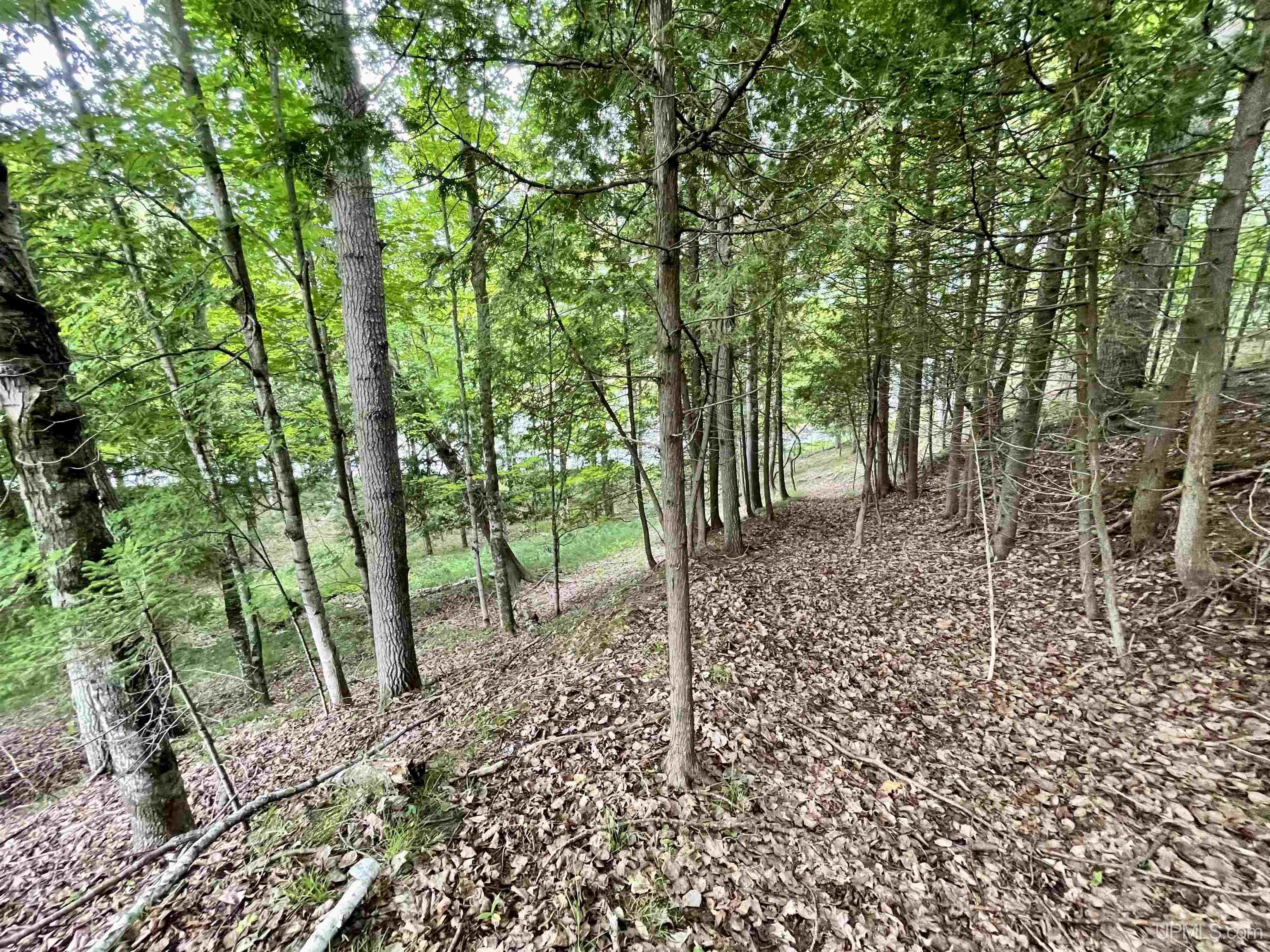23.5 Rd Gladstone Mi 49837 Road Gladstone, MI 49837 - Photo 34 of 45