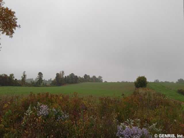 294 Stearns Road Riga, NY 14428 - Photo 1 of 1 Land