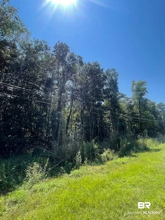 $25,000 | Lot 6 Bellefontaine Circle, Theodore, AL 36582