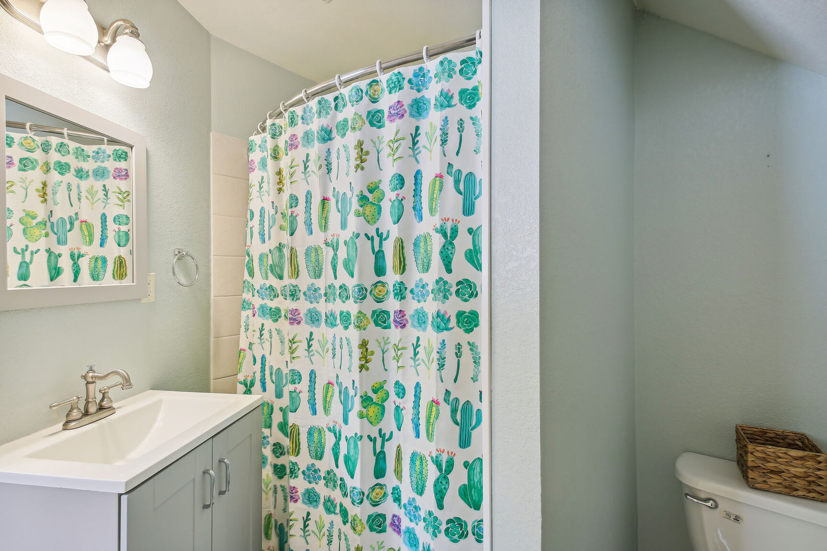 664 North Macon Street Bement, IL 61813 - Photo 17 of 24 a bathroom with a sink a mirror and a shower curtain