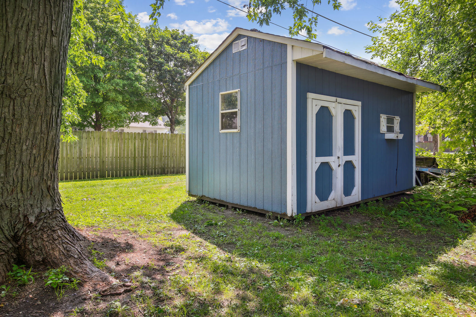 664 North Macon Street Bement, IL 61813 - Photo 22 of 24 a view of a backyard with potted plants and large tree