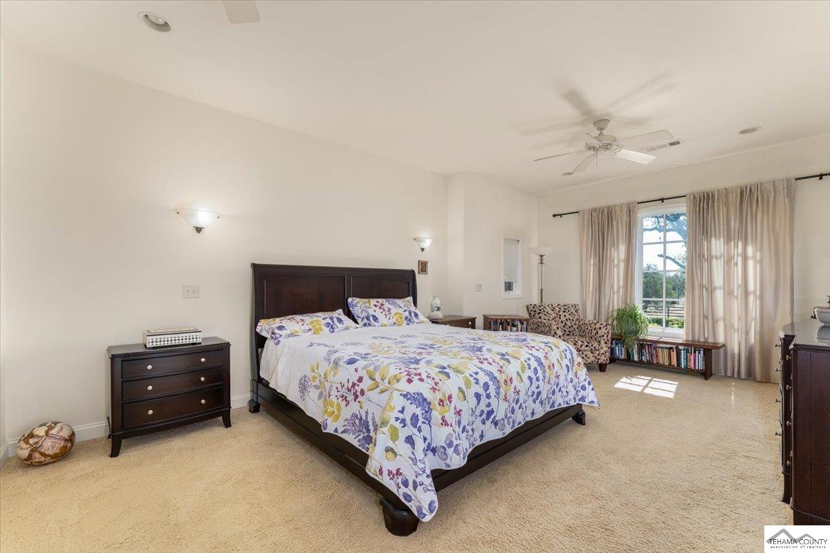16755 Jellys Ferry Road Red Bluff, CA 96080 - Photo 23 of 57 Gallery Image 23
