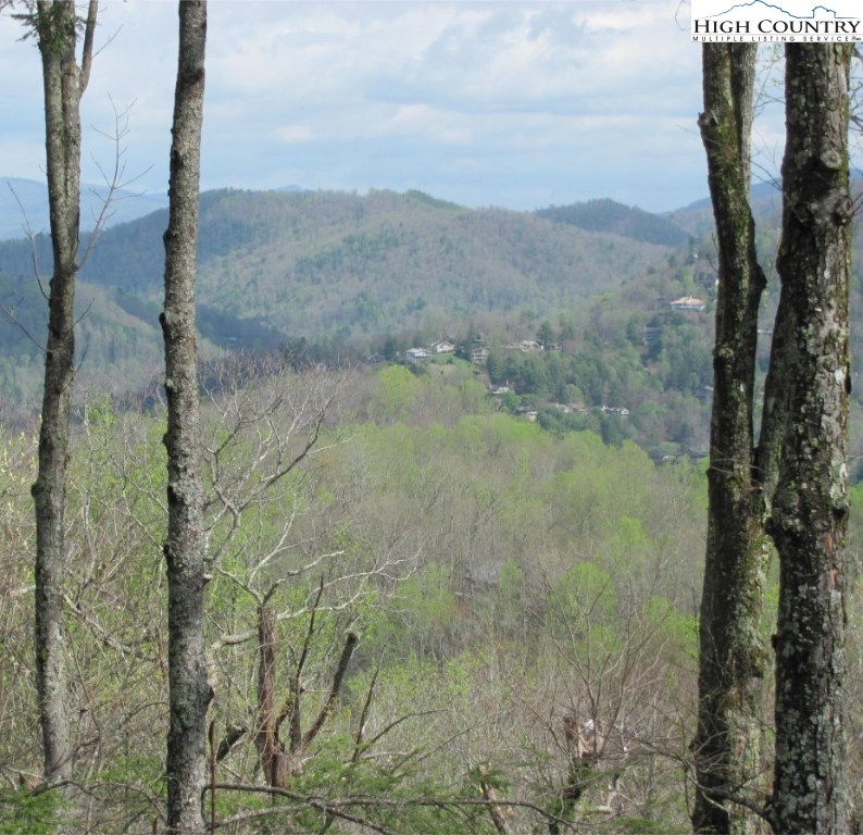 212 Lanny Lane Boone, NC 28607 - Photo 5 of 29 Gallery Image 5