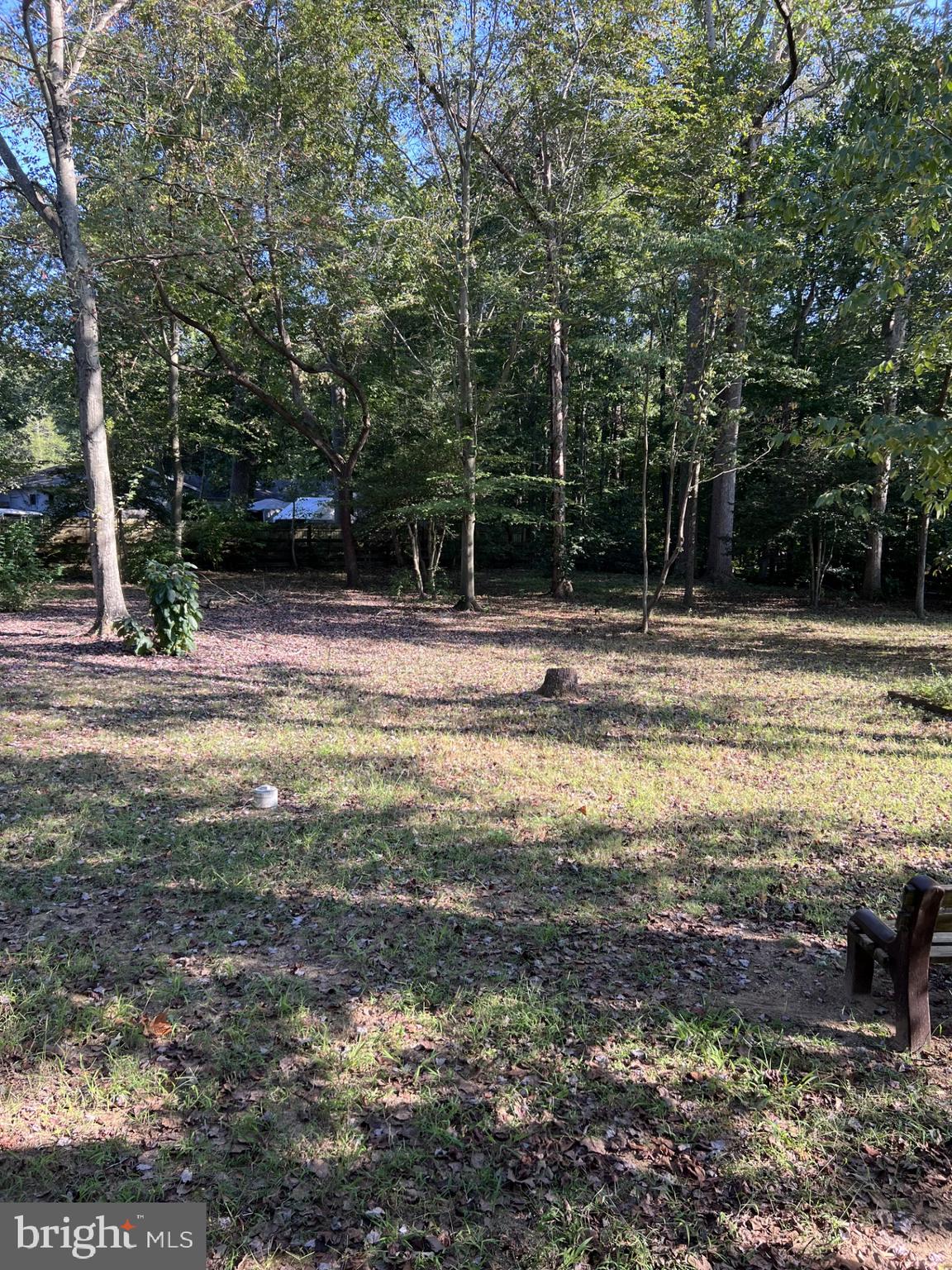 1527 Patuxent Manor Road Davidsonville, MD 21035 - Photo 24 of 36 a backyard of a house with lots of green space
