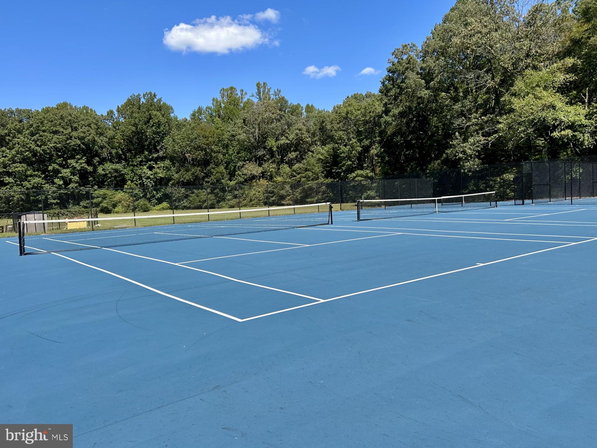 1527 Patuxent Manor Road Davidsonville, MD 21035 - Photo 29 of 36 a view of a tennis court
