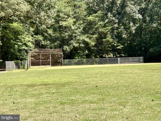 a view of a backyard with large trees and plants