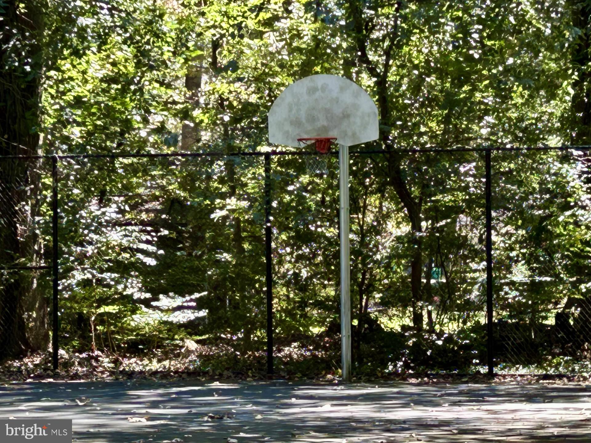 1527 Patuxent Manor Road Davidsonville, MD 21035 - Photo 31 of 36 a backyard of a house with lots of green space