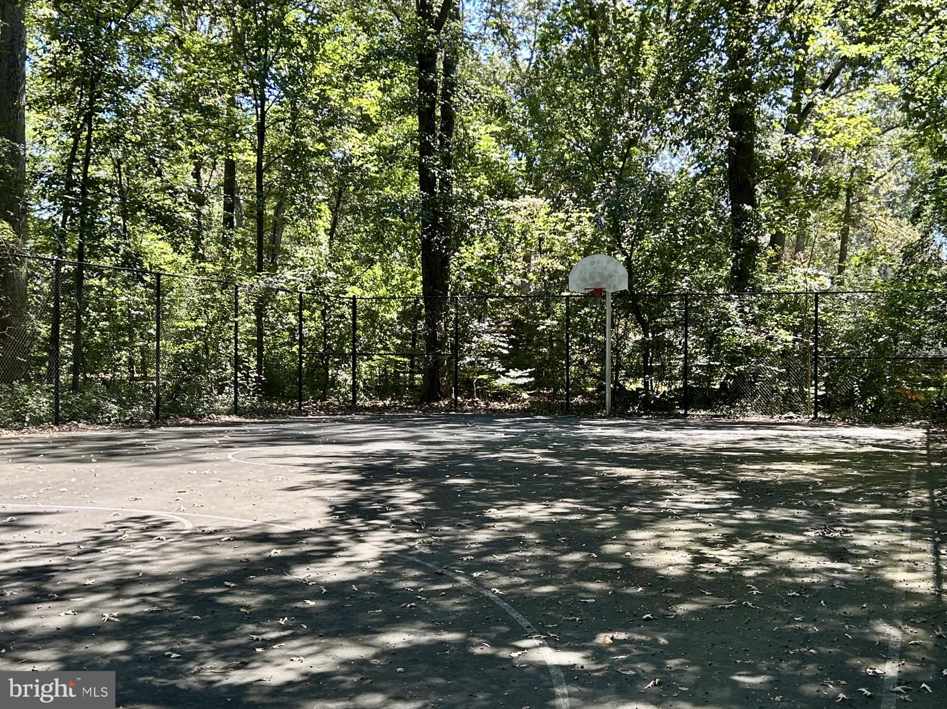 1527 Patuxent Manor Road Davidsonville, MD 21035 - Photo 32 of 36 a view of a yard with a trees
