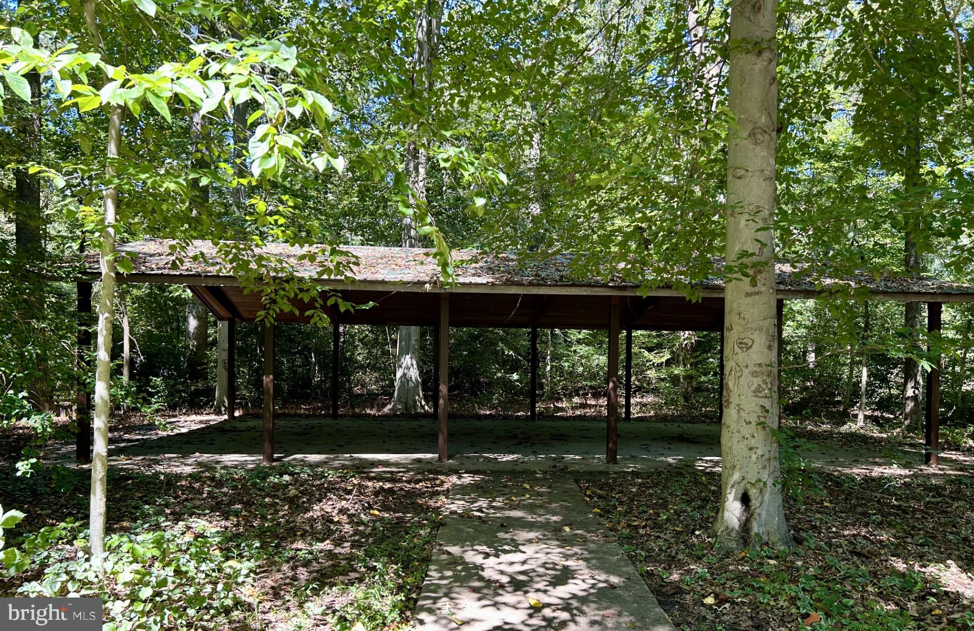 1527 Patuxent Manor Road Davidsonville, MD 21035 - Photo 33 of 36 a view of a backyard with large trees and plants