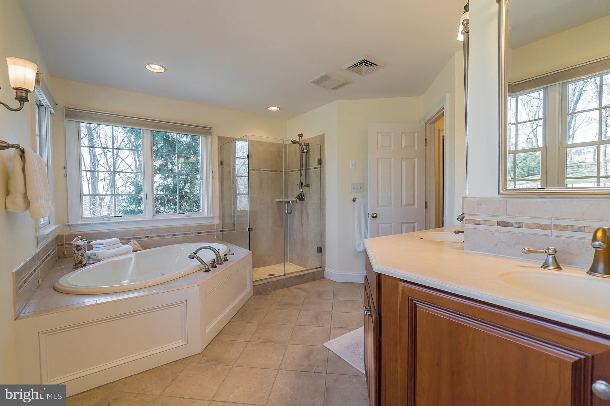 5385 Ridgeview Drive Doylestown, PA 18902 - Photo 17 of 29 Master Bathroom
