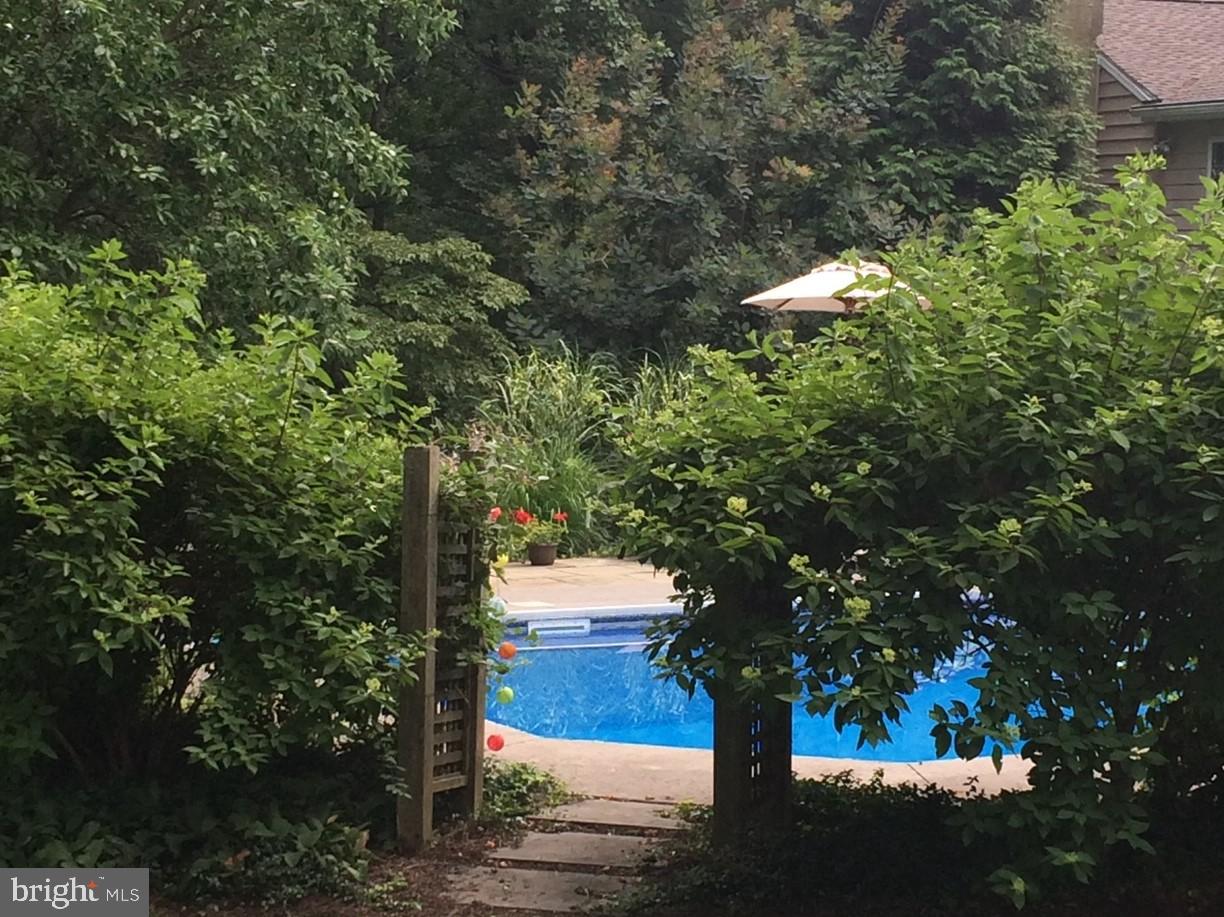 5385 Ridgeview Drive Doylestown, PA 18902 - Photo 24 of 29 Backyard Leading to Pool