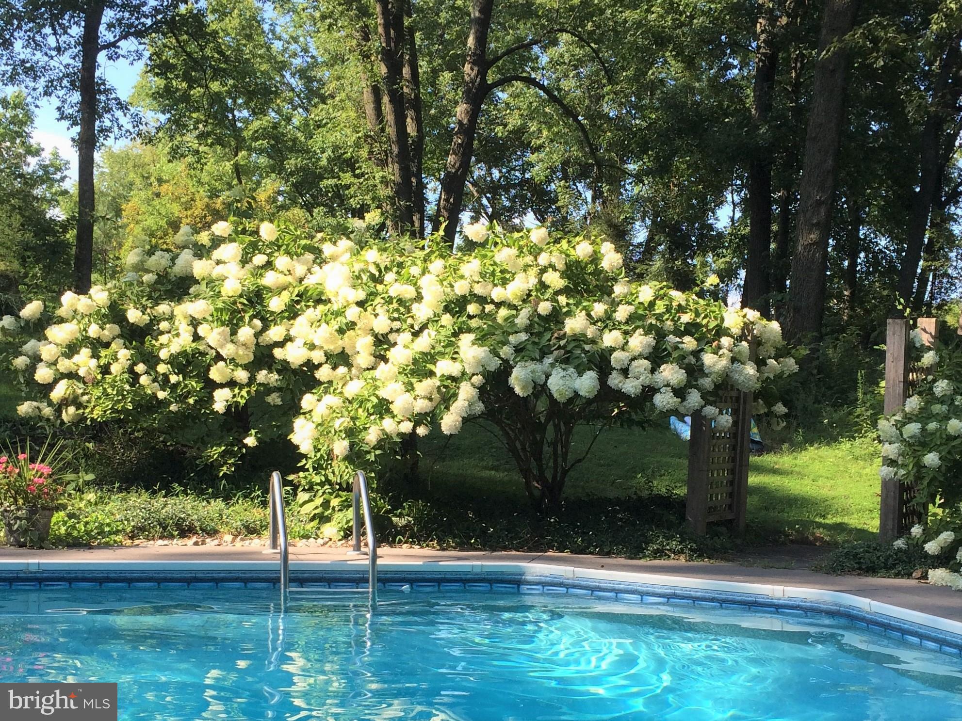 5385 Ridgeview Drive Doylestown, PA 18902 - Photo 25 of 29 Pool