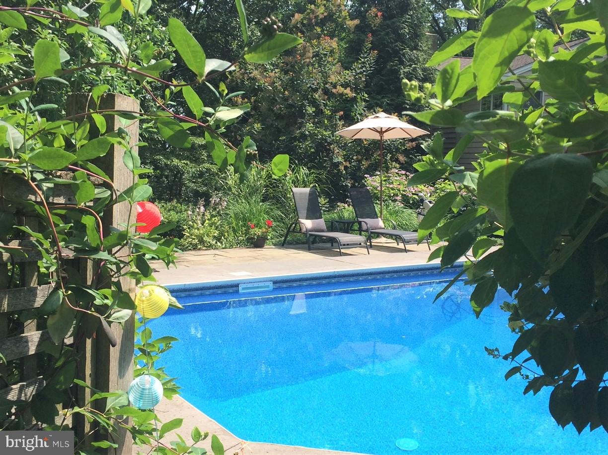 5385 Ridgeview Drive Doylestown, PA 18902 - Photo 26 of 29 Pool