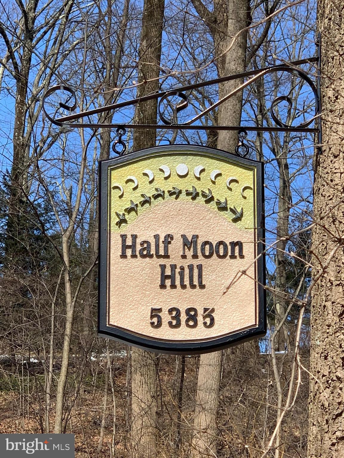5385 Ridgeview Drive Doylestown, PA 18902 - Photo 29 of 29 Half Moon Hill