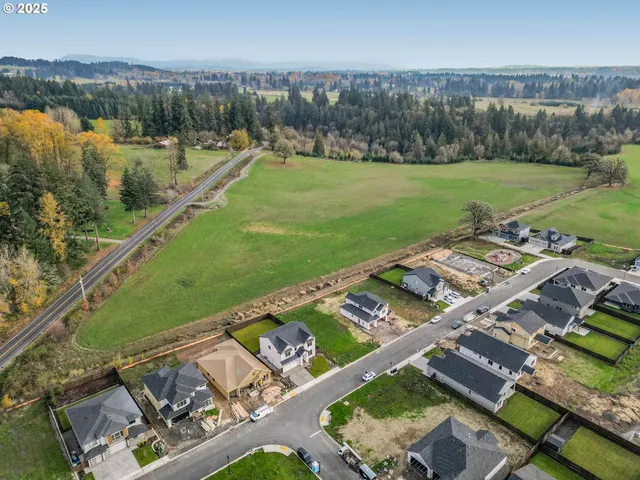 an aerial view of a residential houses with outdoor space and river