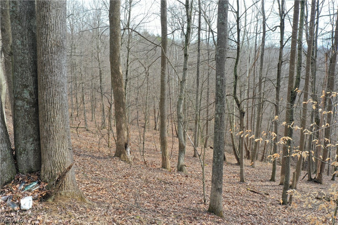 1 Norman Ridge Road Big Bend, WV 26136 - Photo 13 of 20 Gallery Image 13