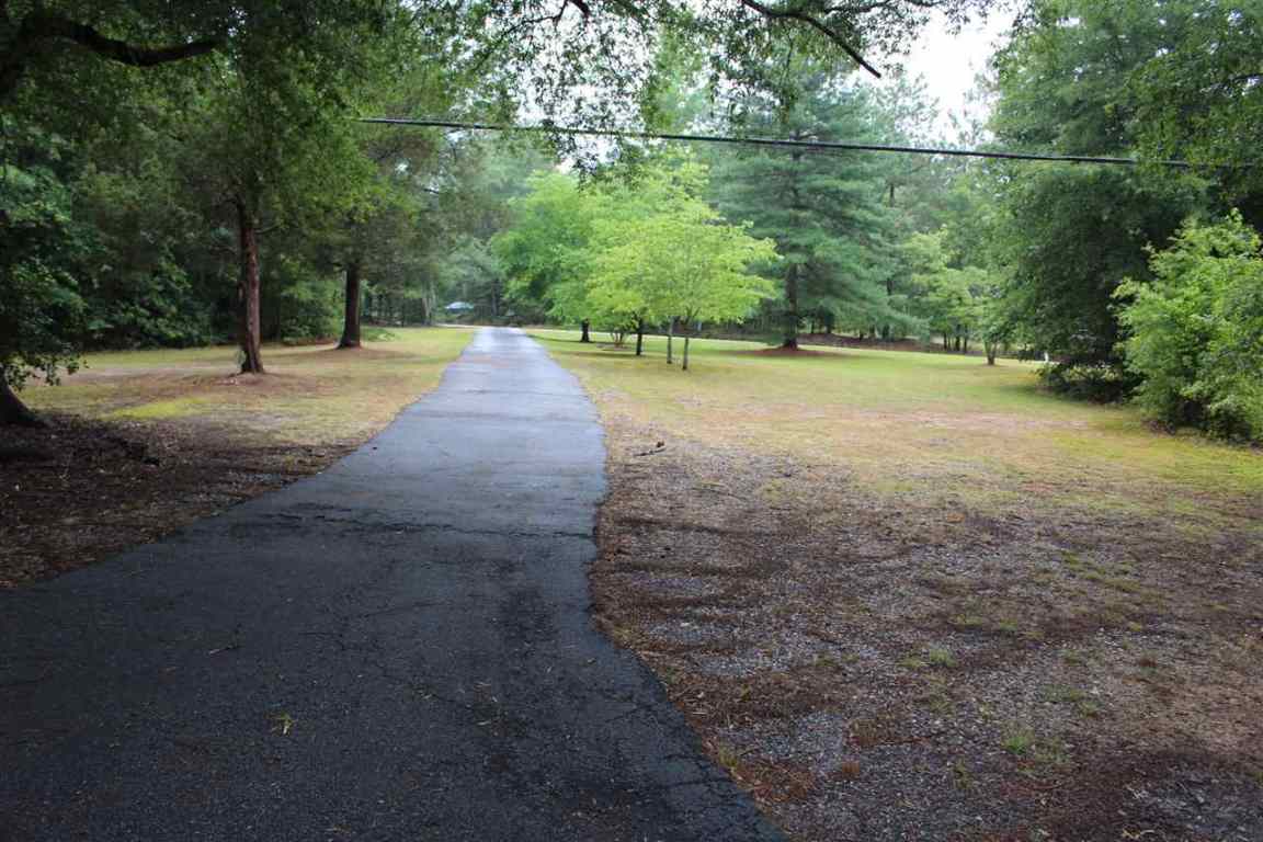 120 Chandler Road Pelzer, SC 29669 - Photo 3 of 14