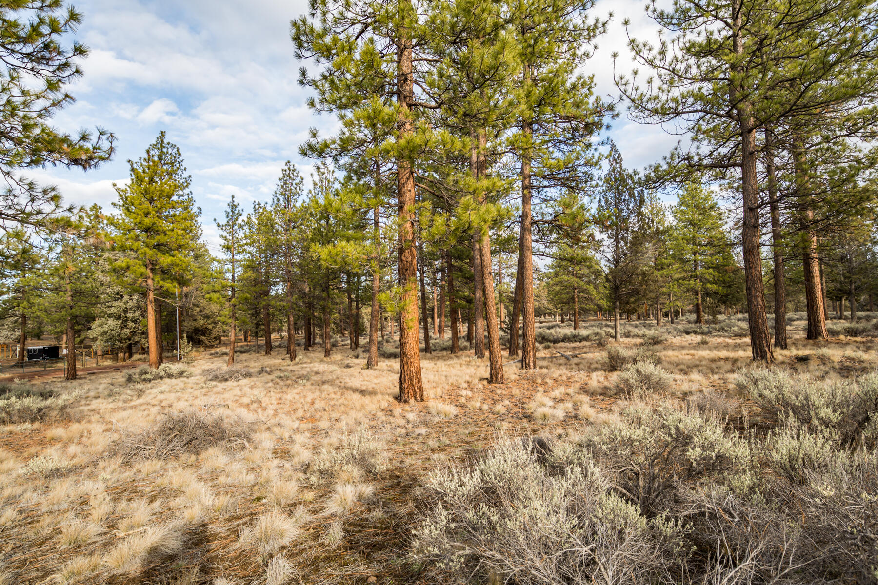 16305 Riata Court Sisters, OR 97759 - Photo 9 of 23 a view of empty space with trees