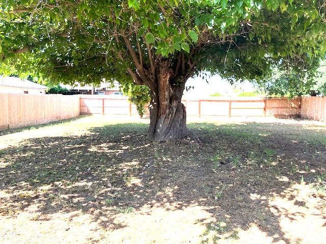 214 East Linden Avenue Reedley, CA 93654 - Photo 9 of 9