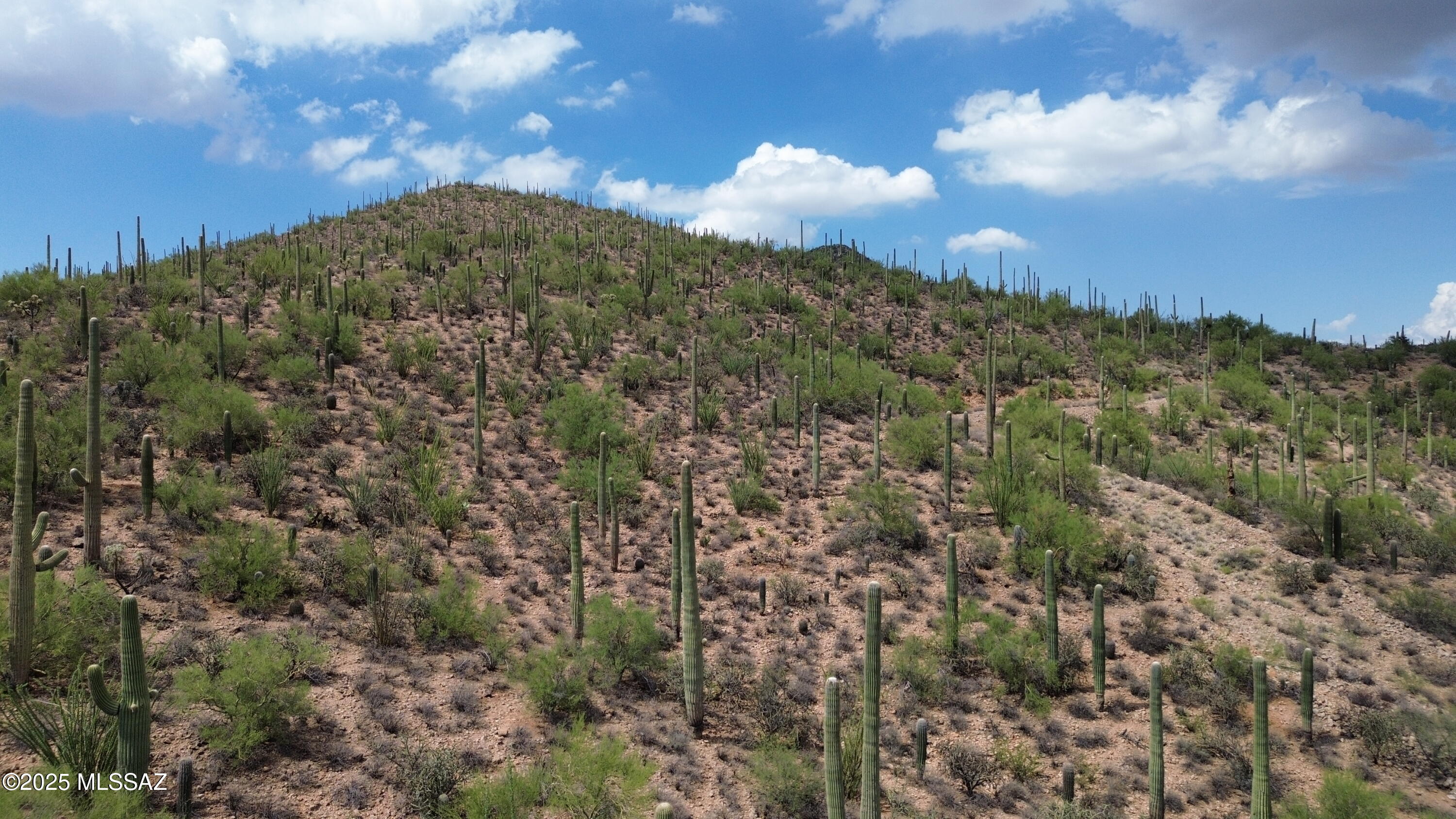 475 South Hotel Service Road Tucson, AZ 85745 - Photo 46 of 49 DJI_0775