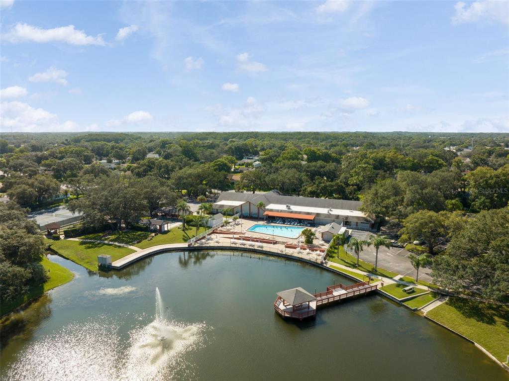 8035 Gleneagle Drive Port Richey, FL 34668 - Photo 61 of 64