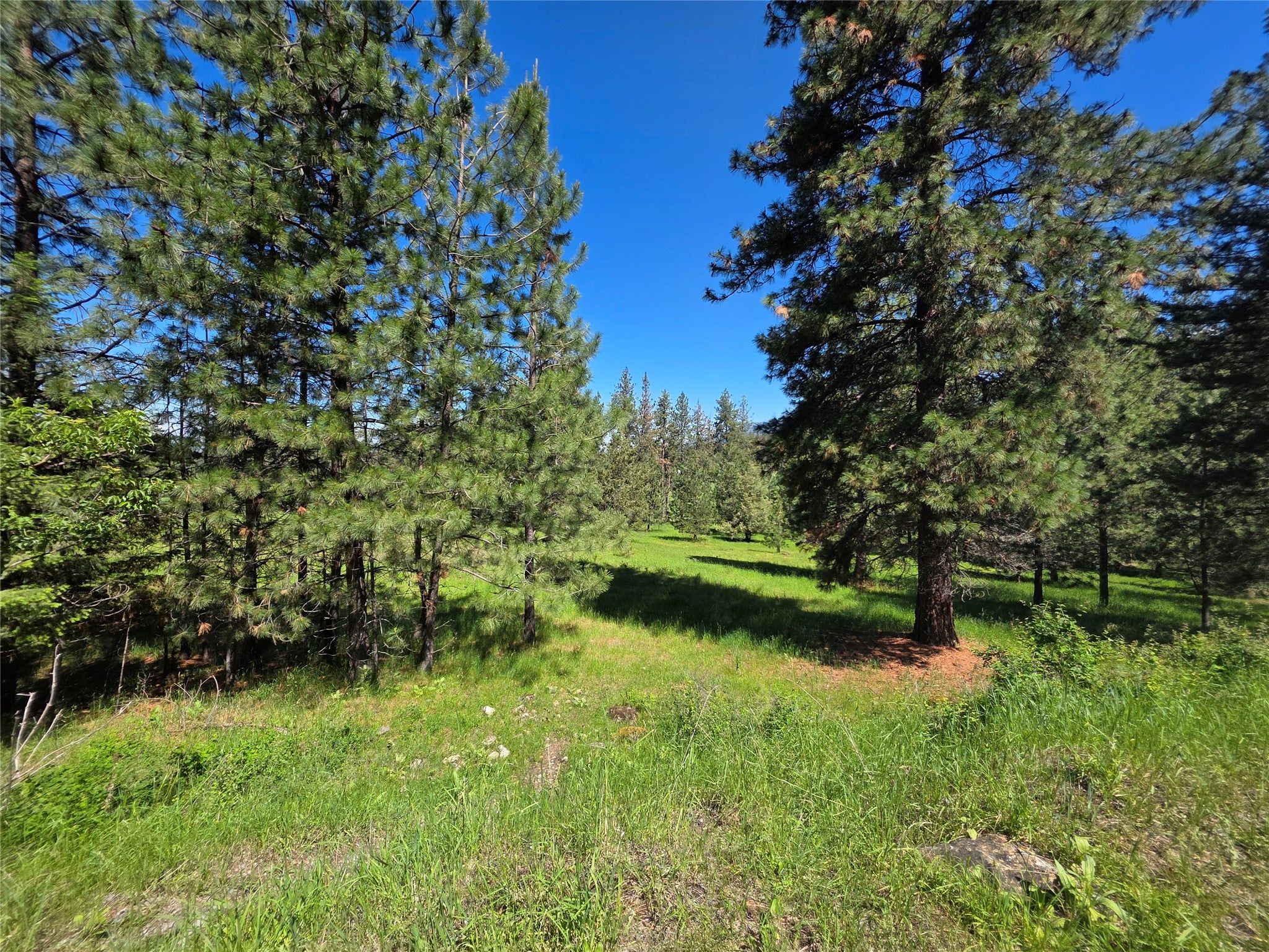 Nhn Allard Road St. Ignatius, MT 59865 - Photo 7 of 21 Gallery Image 7