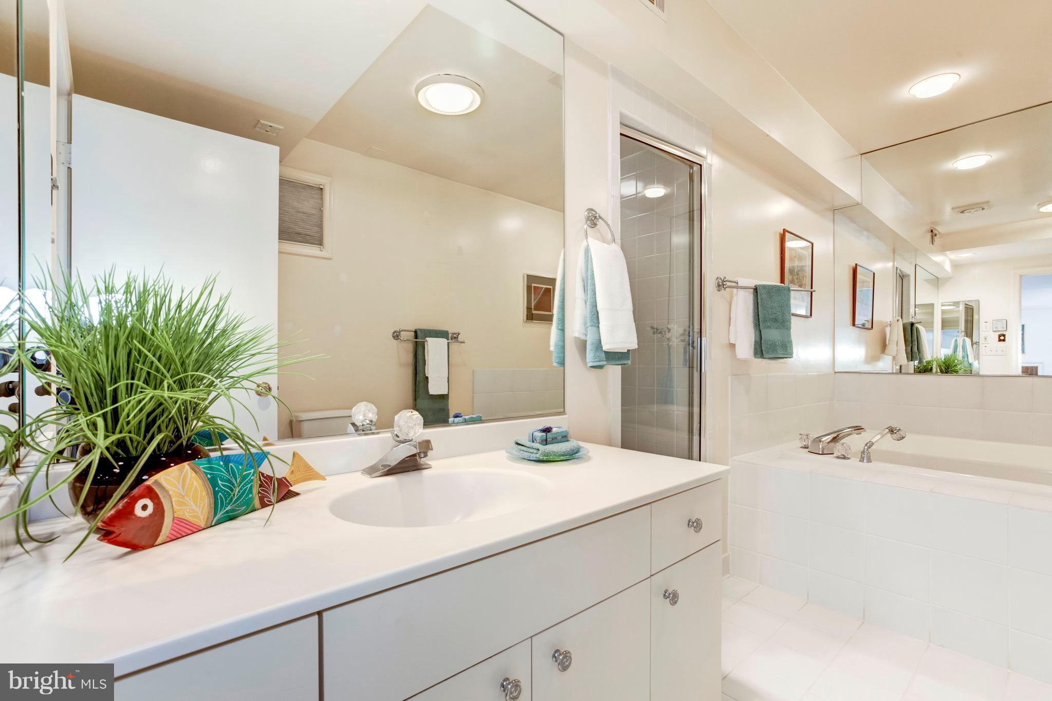 7204 Helmsdale Road Bethesda, MD 20817 - Photo 25 of 30 Basement bath has steam shower