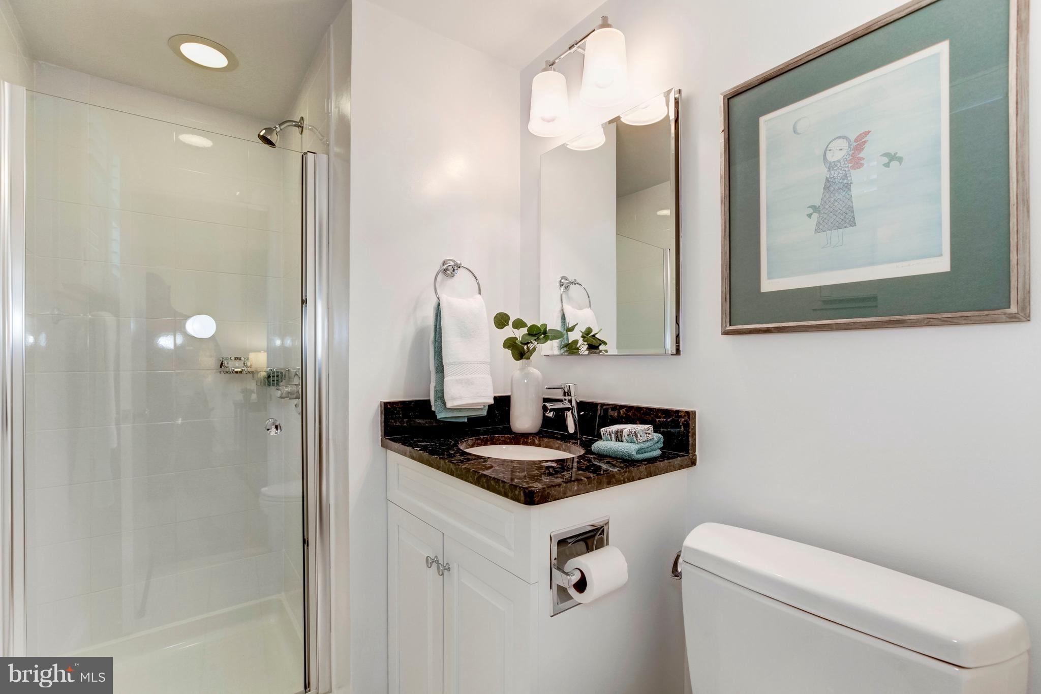 7204 Helmsdale Road Bethesda, MD 20817 - Photo 26 of 30 2nd bath in the Basement