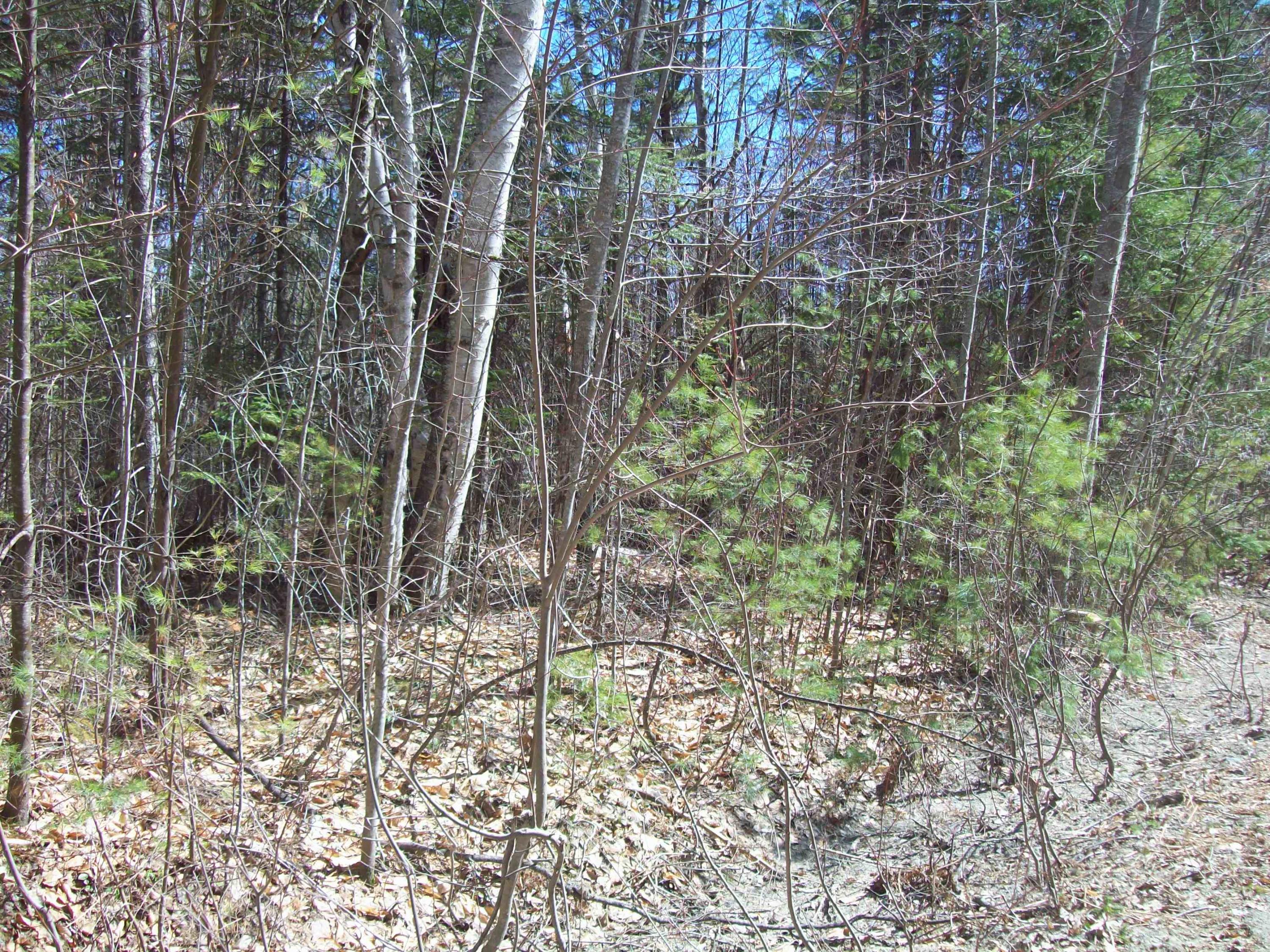 Tbd White Point Estates Road Lincoln, ME 04457 - Photo 1 of 6 100_1762