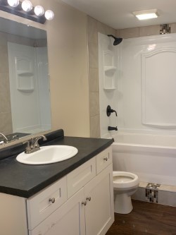 84 Candlegate Circle Matteson, IL 60443 - Photo 6 of 15 a bathroom with a granite countertop sink a toilet and shower