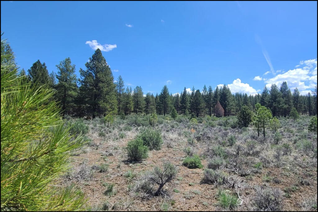 288110 Tableland Road Chiloquin, OR 97624 - Photo 2 of 24 00