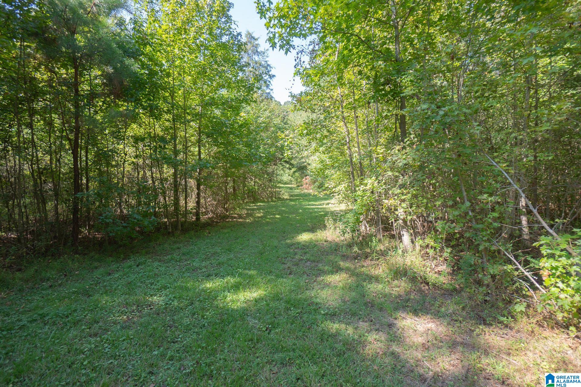 9204 Marsh Mountain Road Pinson, AL 35126 - Photo 45 of 56