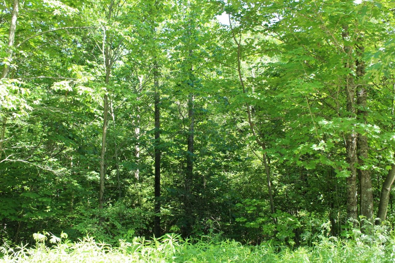 8560 Pine Road Crandon, WI 54520 - Photo 42 of 46 Gallery Image 42