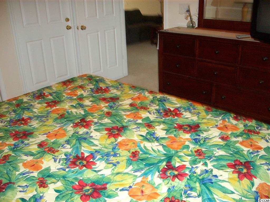 330 Kiskadee Loop, Unit 16E Conway, SC 29526 - Photo 14 of 15 Gallery Image 14