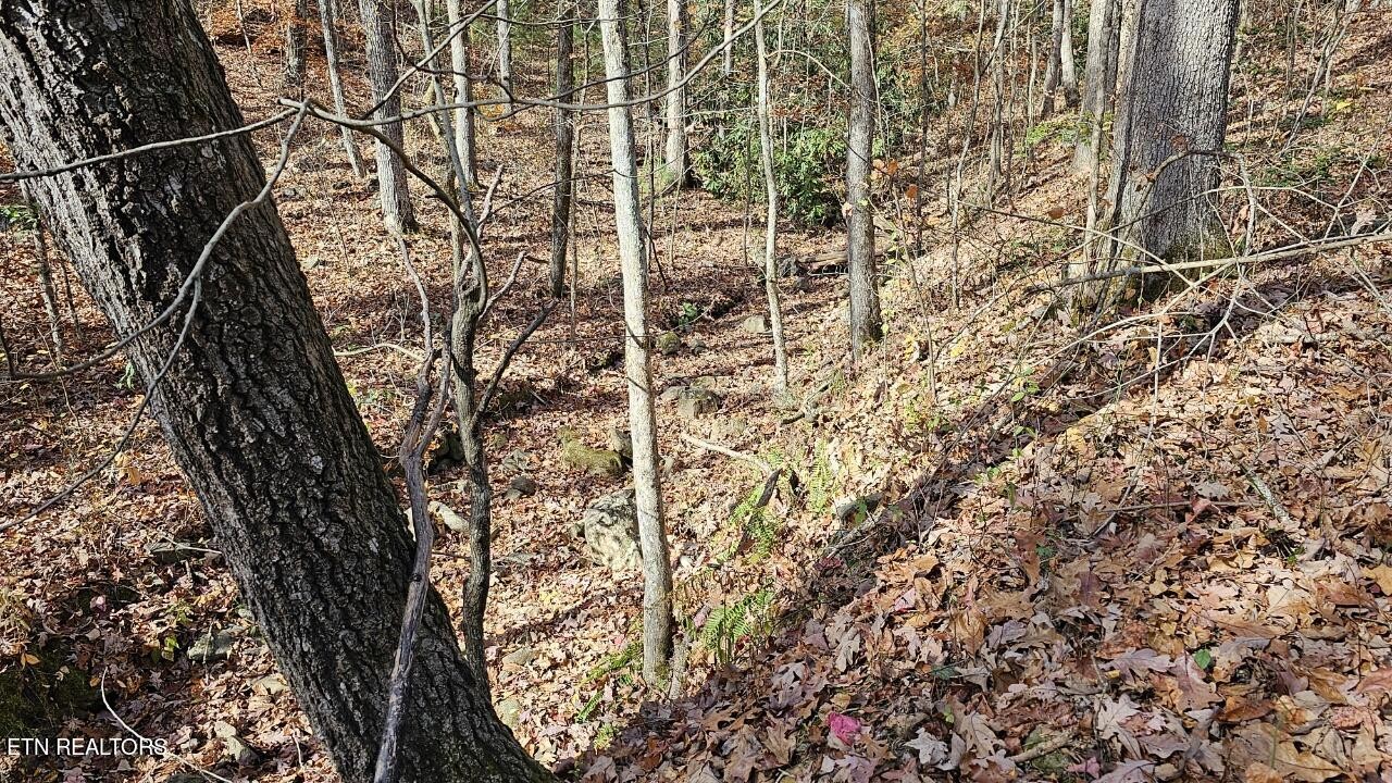5908 Happy Valley Road Tallassee, TN 37878 - Photo 26 of 34 Gallery Image 26