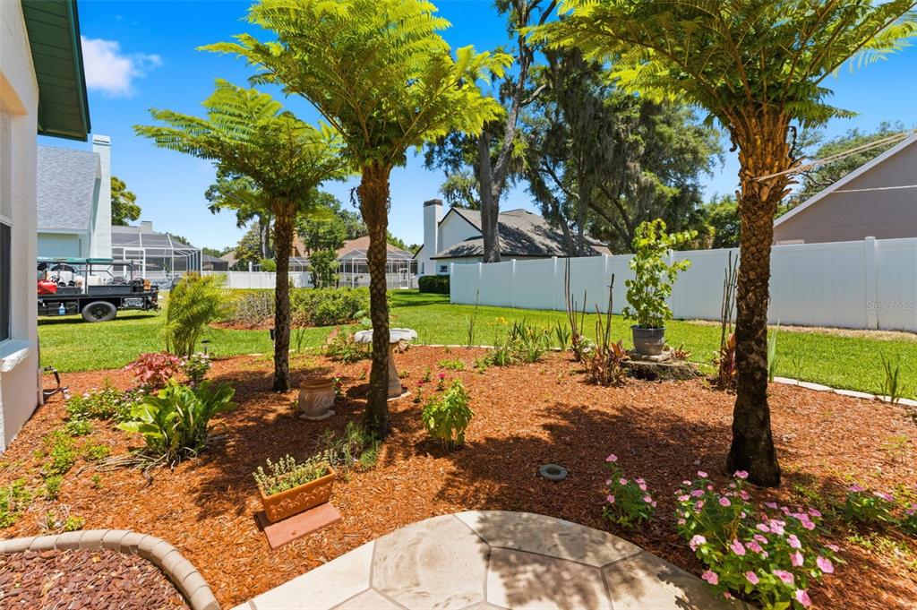 3406 Sylvan Shadow Street Valrico, FL 33596 - Photo 32 of 49