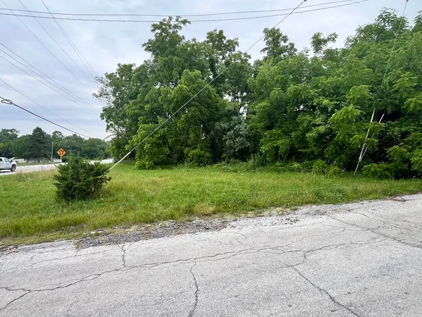 $119,500 | Vacant Western Avenue, Crete, IL 60417