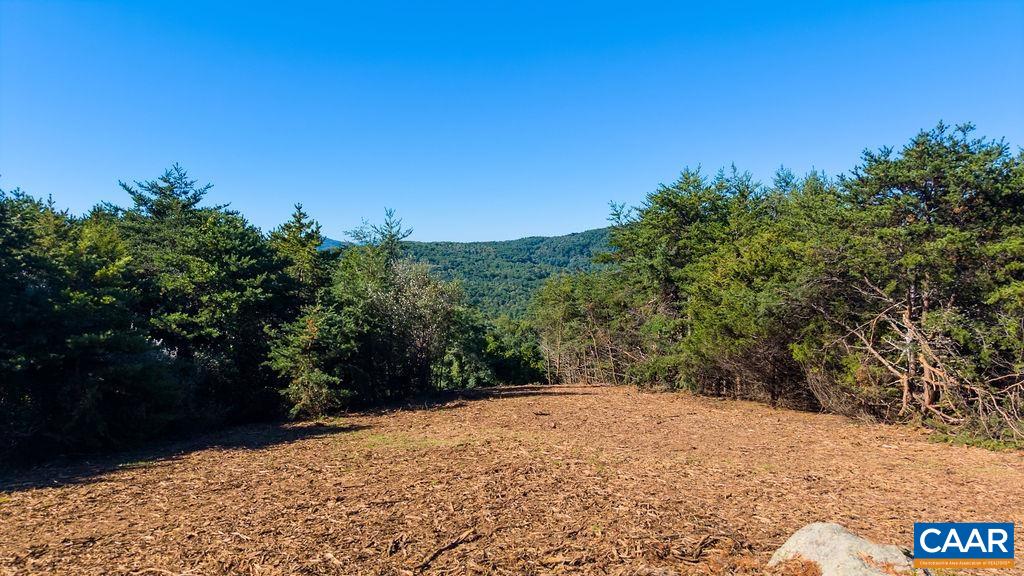 Lot 3 Twelve Rdgs Way Vesuvius, VA 24483 - Photo 3 of 22 The Priest, Apple Orchard and Three Ridges from the homesite.