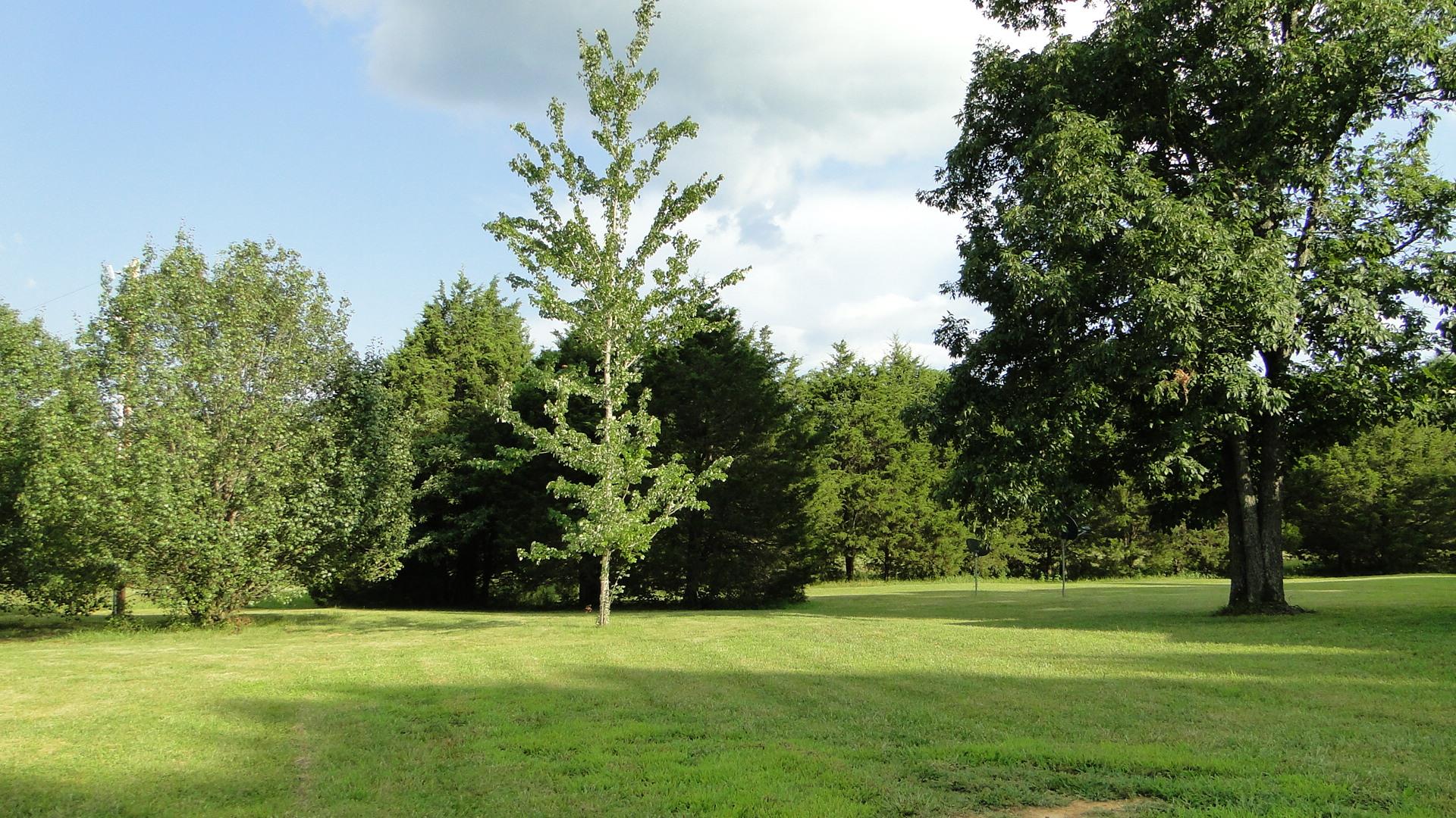 4073 Hill Road Eagleville, TN 37060 - Photo 20 of 30 Gallery Image 20