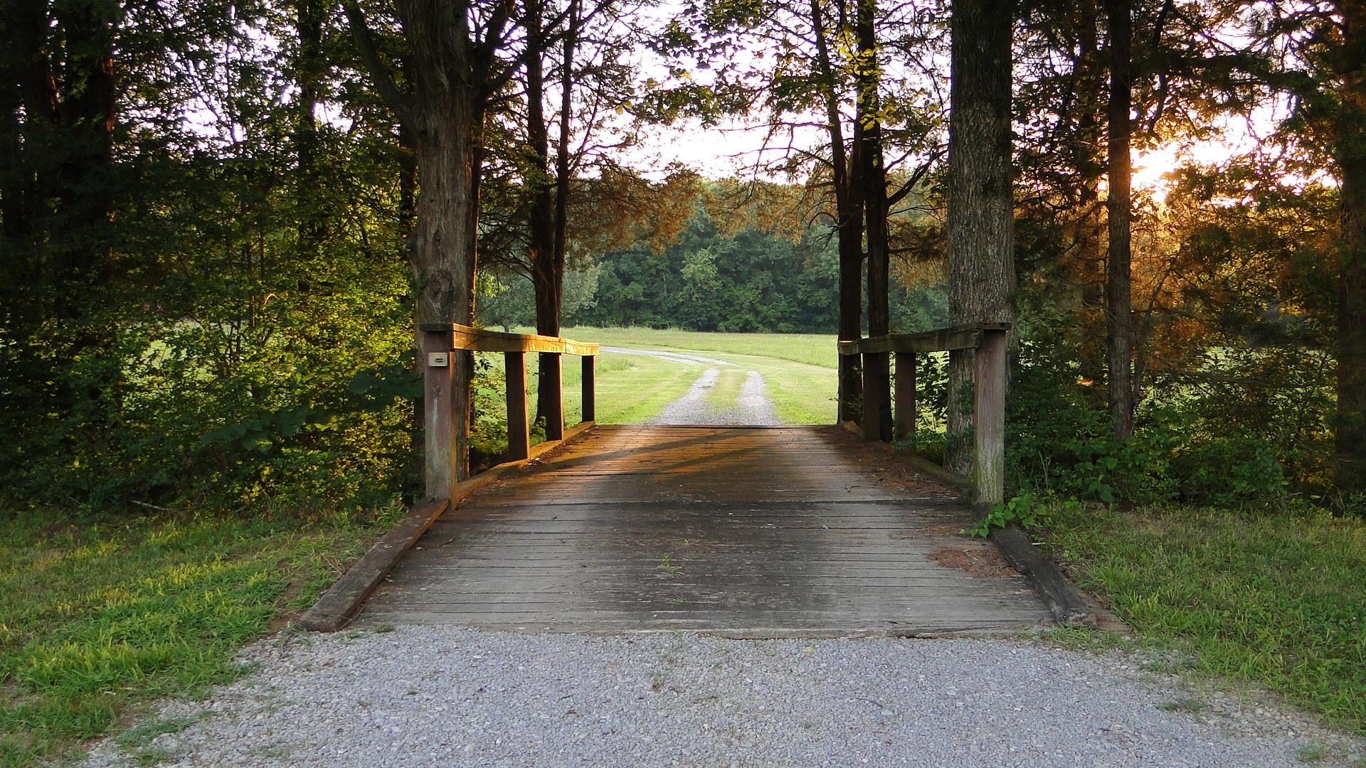 4073 Hill Road Eagleville, TN 37060 - Photo 27 of 30 Gallery Image 27