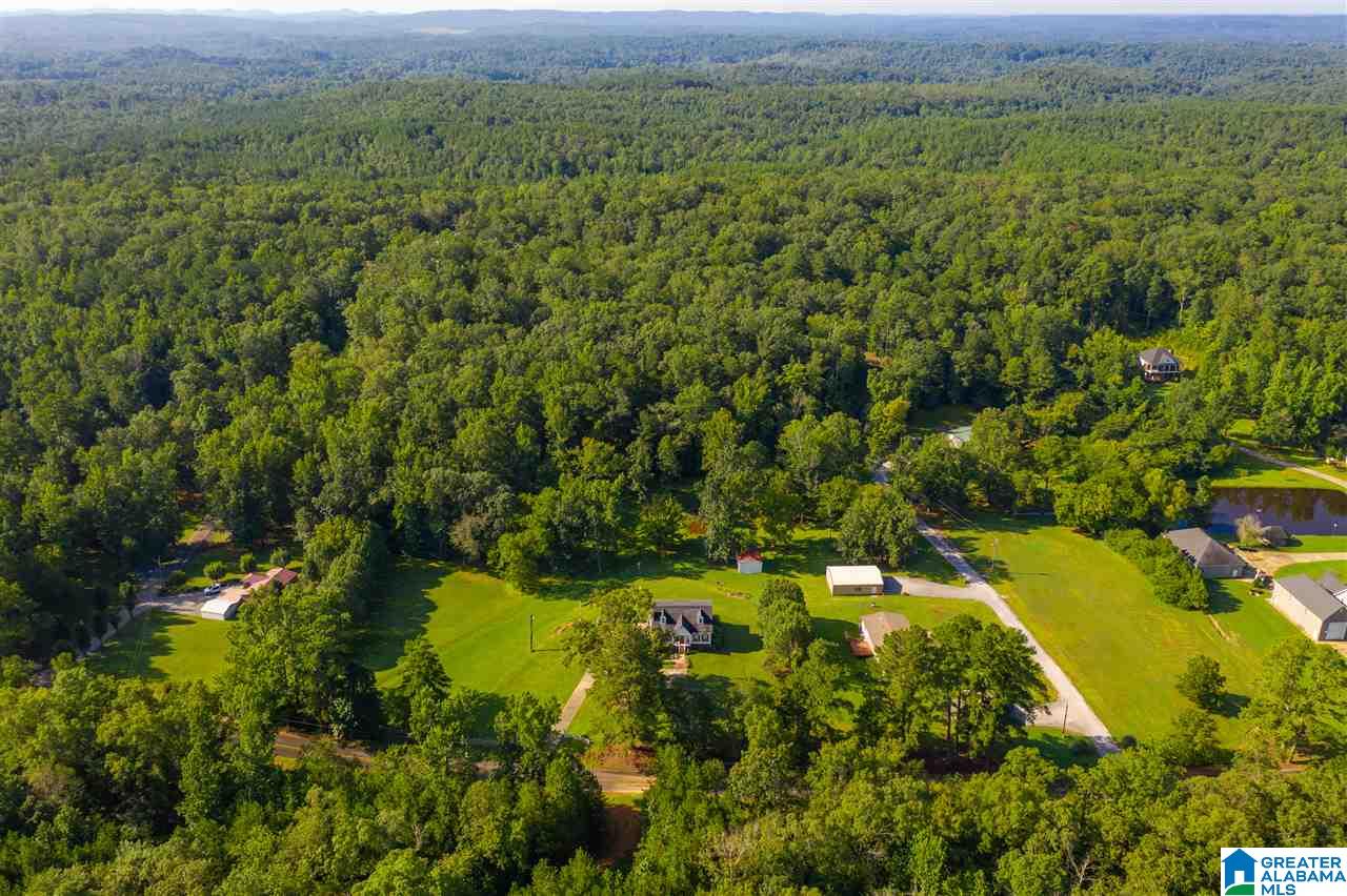 3309 Self Creek Road Pinson, AL 35126 - Photo 34 of 48