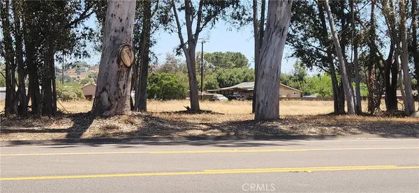 a view of a park on the side of a road