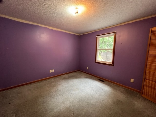 2890 Baxter Hollow Road Belvidere, TN 37306 - Photo 11 of 16 Gallery Image 11
