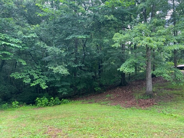 2890 Baxter Hollow Road Belvidere, TN 37306 - Photo 15 of 16 Gallery Image 15