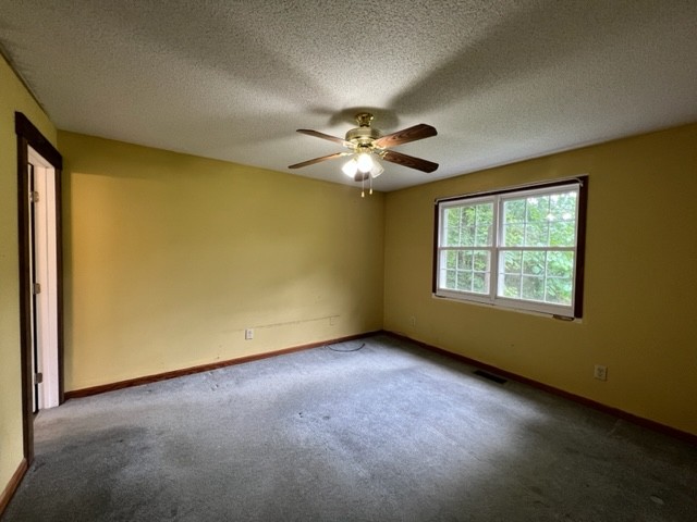 2890 Baxter Hollow Road Belvidere, TN 37306 - Photo 9 of 16 Gallery Image 9