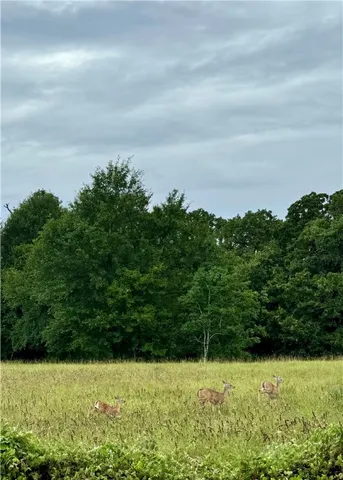 a view of yard with swimming pool and green space