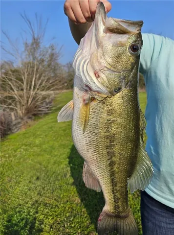 a water statue sitting in the middle of a green field