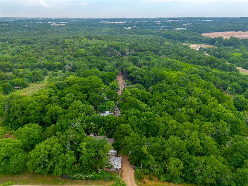 8635 Retta Mansfield Road Mansfield, TX 76063 - Photo 11 of 11 a view of a lush green forest with lush green forest